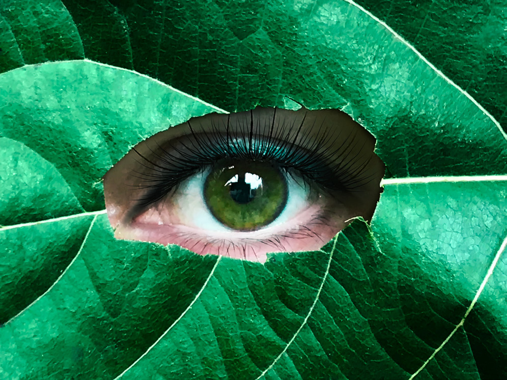 Vision